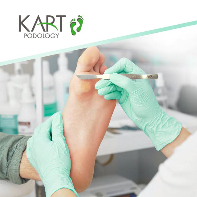 Powiększ obraz: Podobaltica