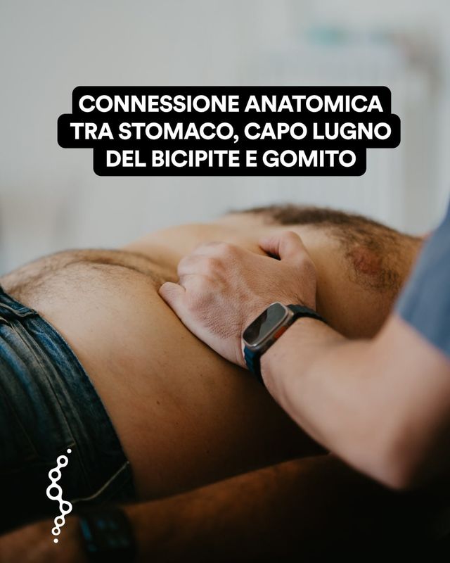 Ingrandire l'immagine: Studio Ciraci,San Michele salentino