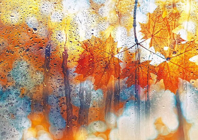 Powiększ obraz: Mind in Blue