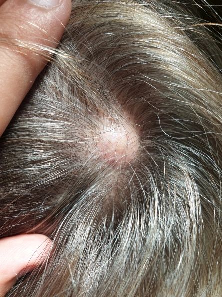 Ingrandire l'immagine: CDS MEDICAL S.R.L.