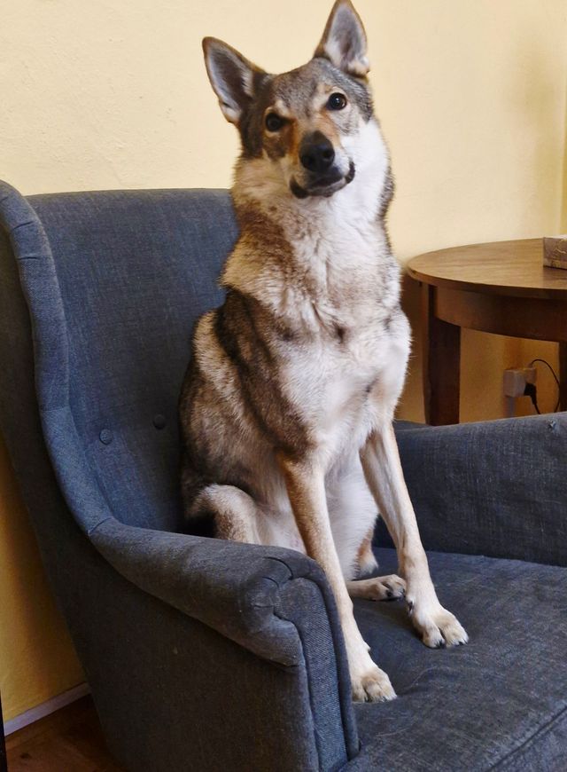 Powiększ obraz: Pracownia Edukacyjno Psychologiczna