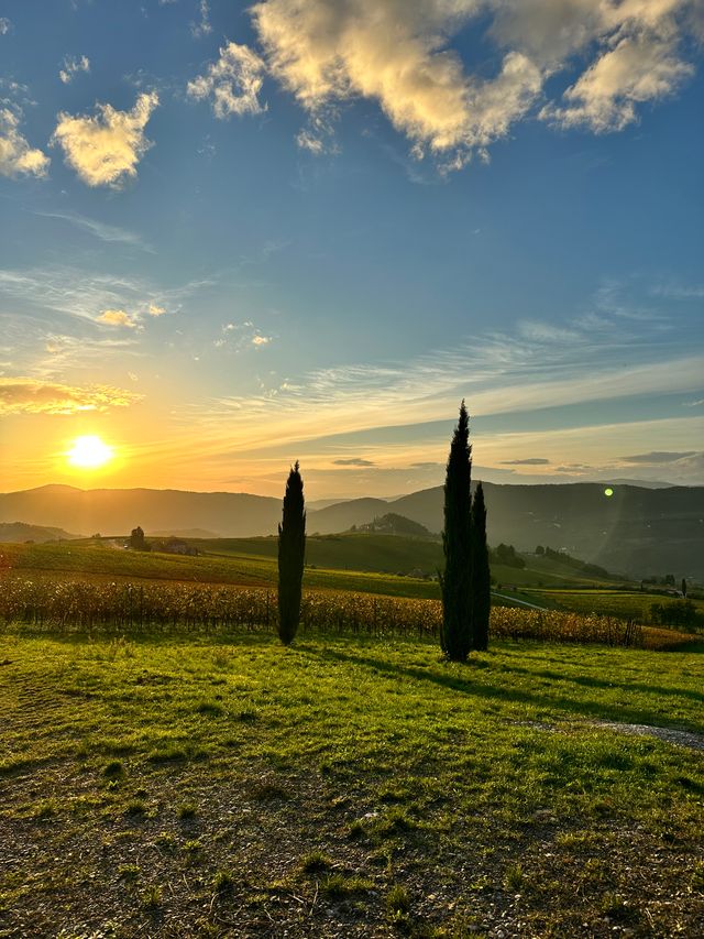 Ingrandire l'immagine: Studio Kinesis-Med Firenze