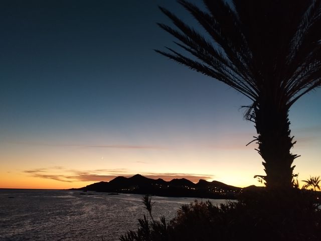 Acercar imagen: Consulta online