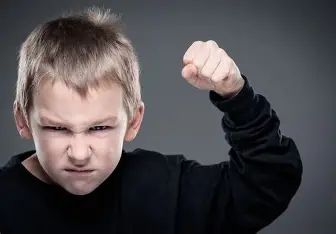 Acercar imagen: Consulta online