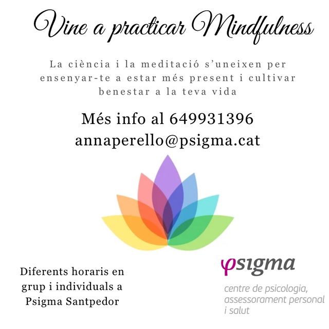 Acercar imagen: Psigma Santpedor