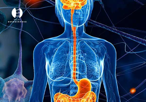 Acercar imagen: Osteoinnova