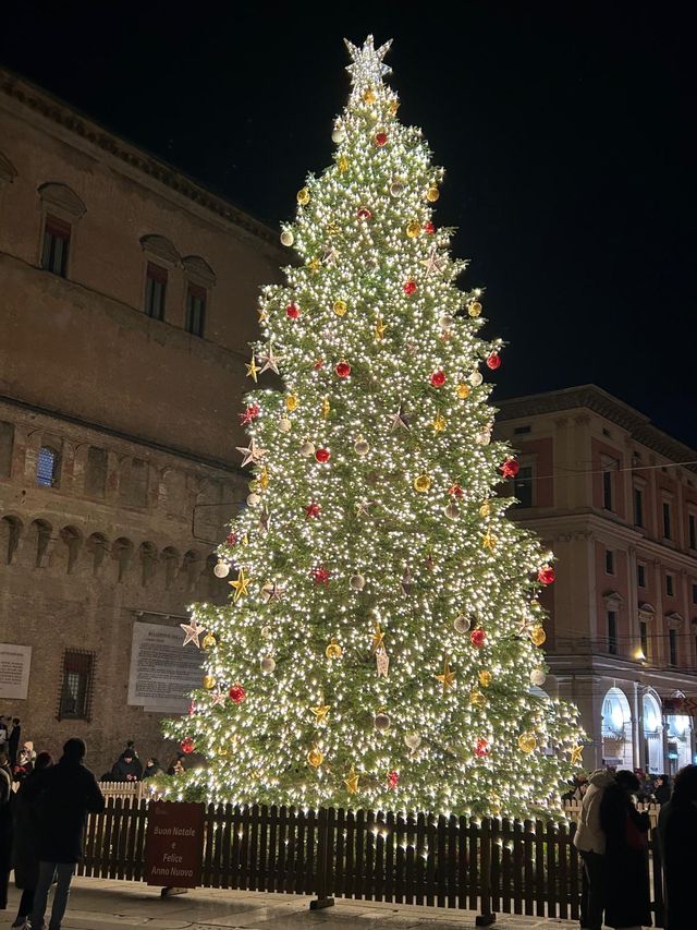 Ingrandire l'immagine: ZeroCalorie Casalecchio