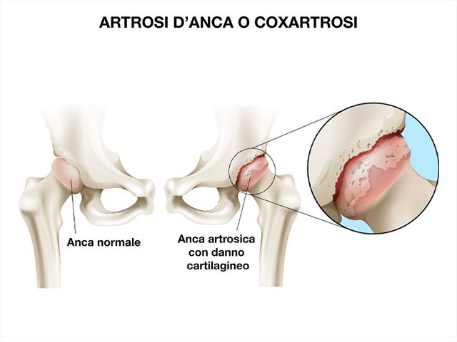 Ingrandire l'immagine: Poliambulatorio Cpv