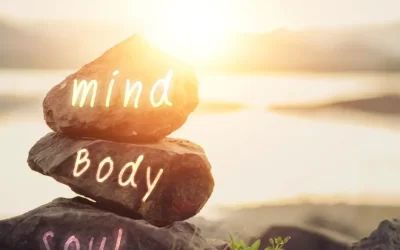 Ingrandire l'immagine: ASSOCIAZIONE DI PROMOZIONE SOCIALE ZEFIRA