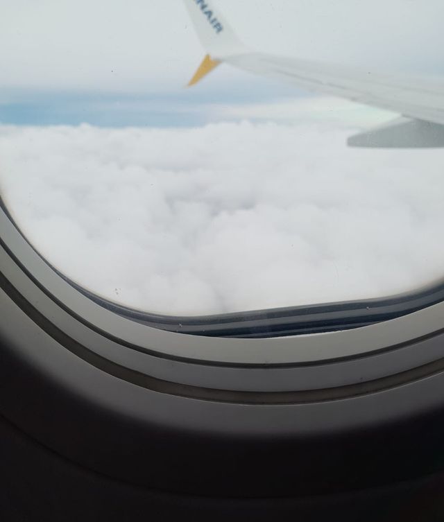 Ingrandire l'immagine: Palamed