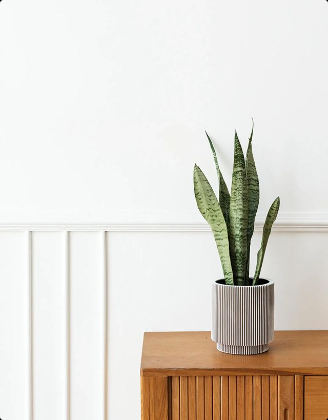 Ingrandire l'immagine: Studio Privato - Dott.ssa Laura Lanocita