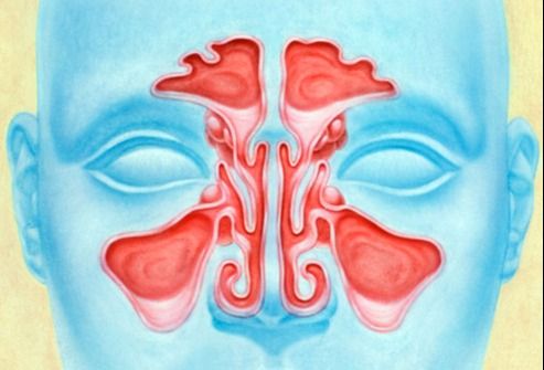 Ingrandire l'immagine: Poliambulatorio Specialistico Verona