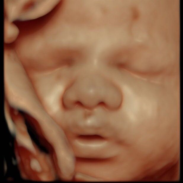 Ingrandire l'immagine: Studio Privato Torraccia