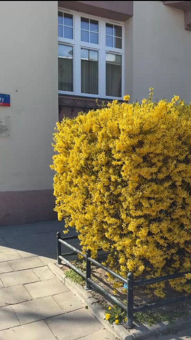 Powiększ obraz: Bliżej Gabinet Psychoterapii