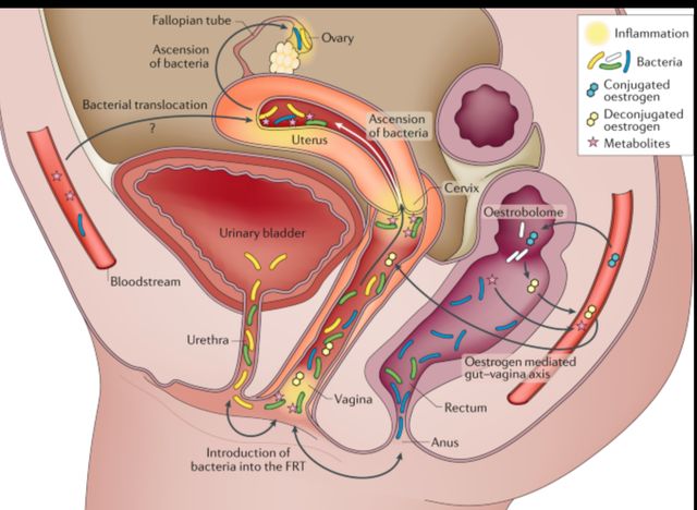 Ingrandire l'immagine: Studio Medico Axchel