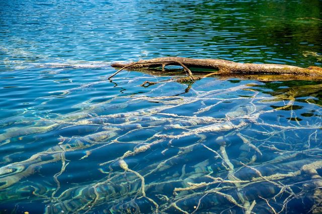 Powiększ obraz: GABINET - Victoria Vanda Emitberg