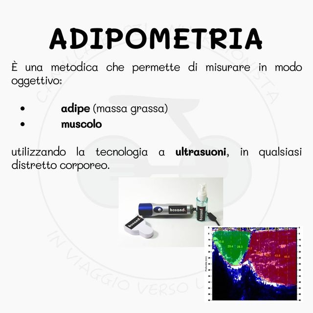 Ingrandire l'immagine: Dott.ssa Camilla Barzi