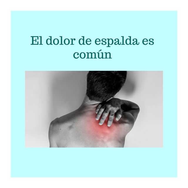 Acercar imagen: Miovitae Fisioterapia & Osteopatía