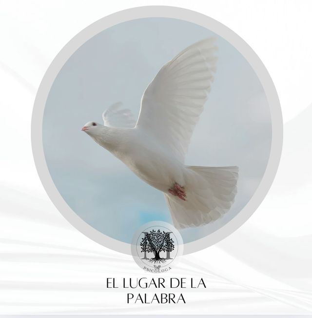 Acercar imagen: Consulta online