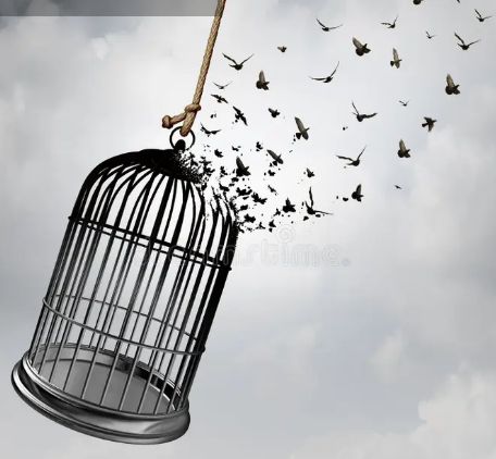 Ingrandire l'immagine: Consulenza online