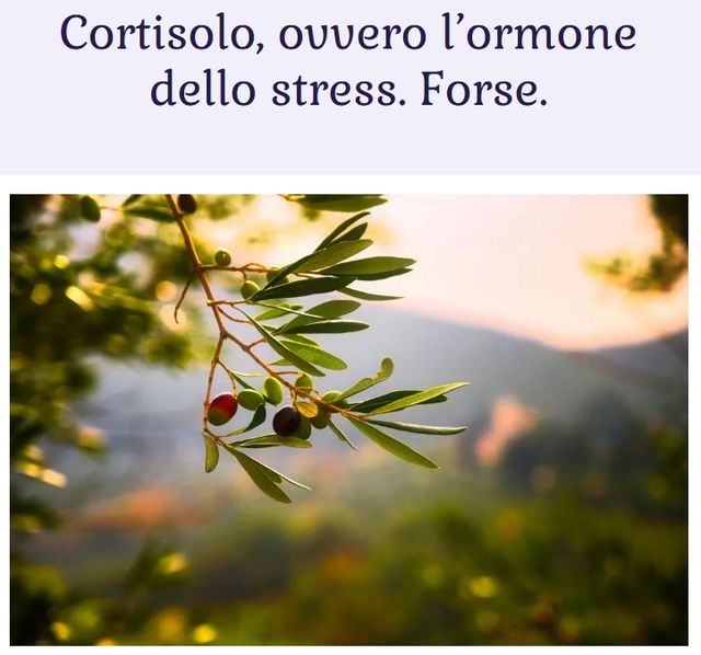 Ingrandire l'immagine: Studio Fiore