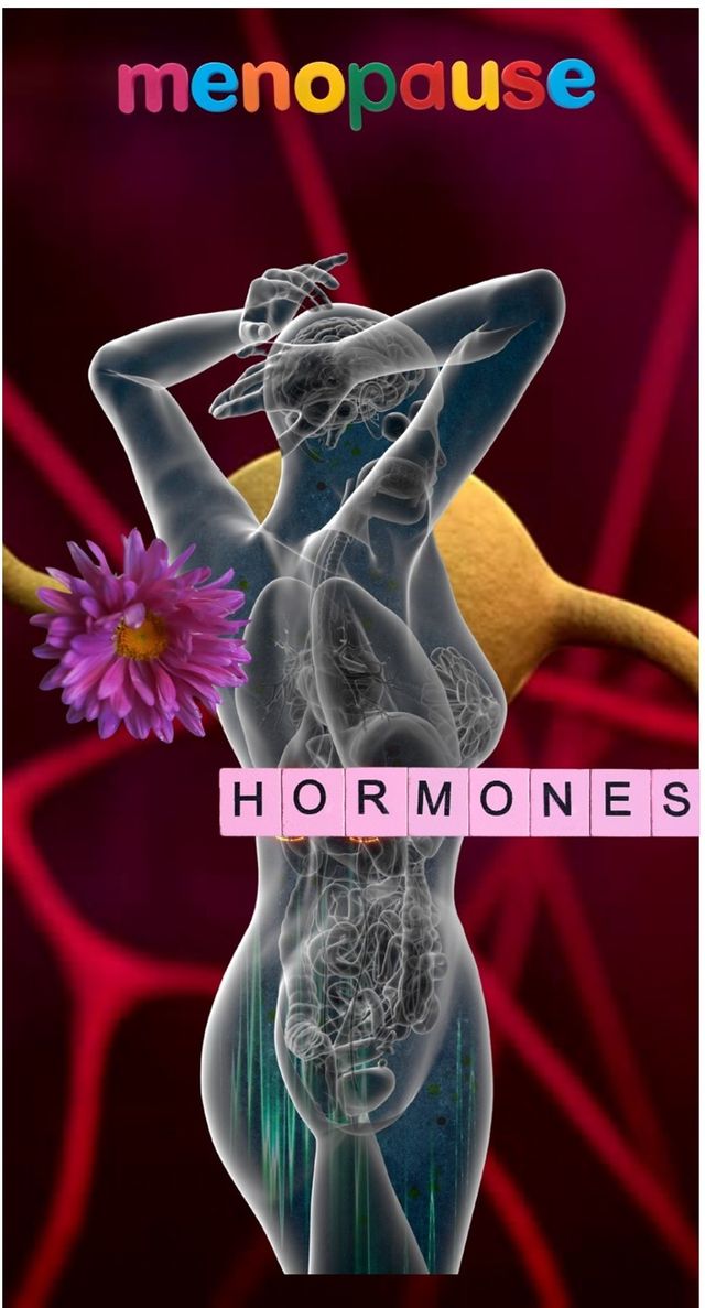 Acercar imagen: Mónica Román Abal