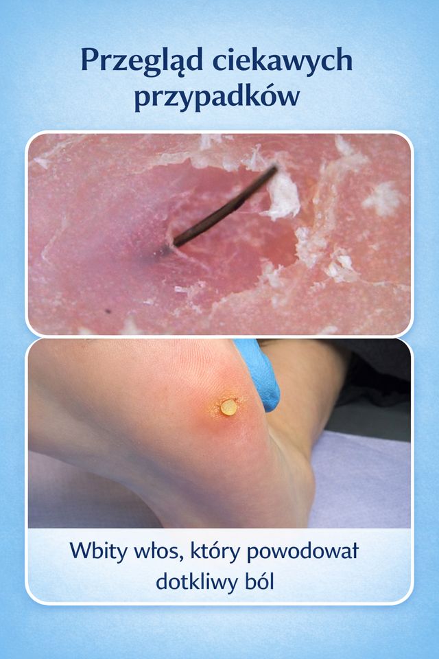 Powiększ obraz: Vassari