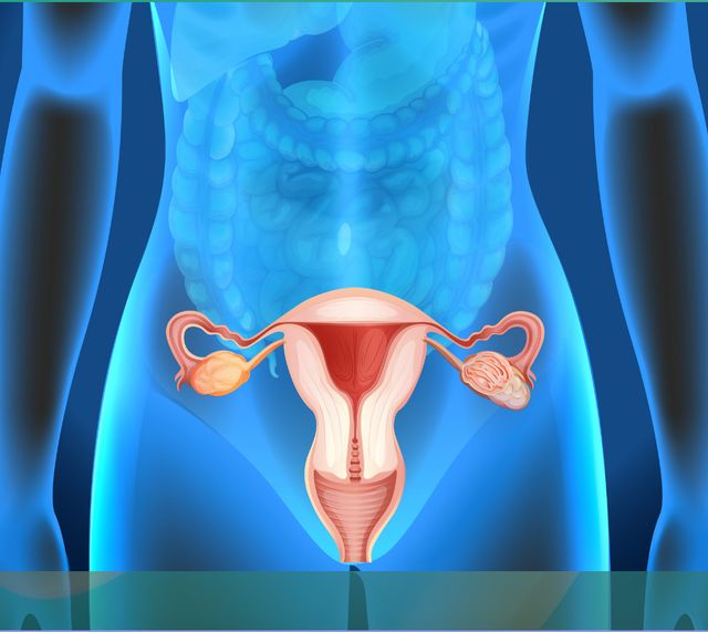 Ingrandire l'immagine: Dott. Brasiliani