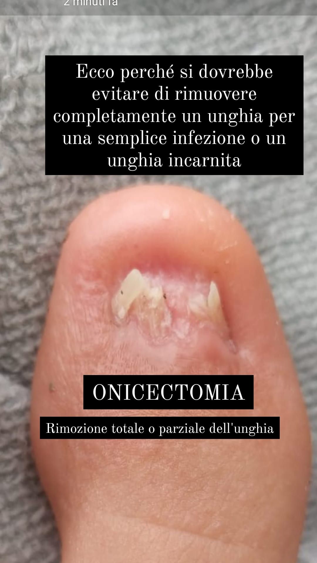 Kassandra Nicolosi-312