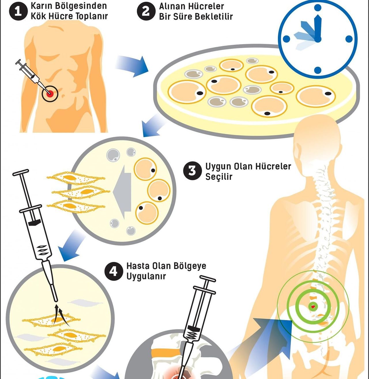 Mehmet Emre Hanay-13
