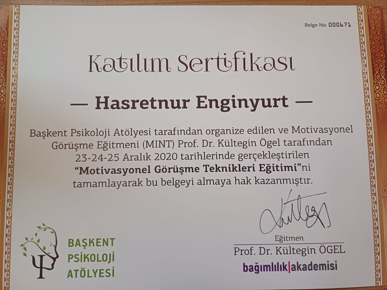 Hasretnur Enginyurt-9