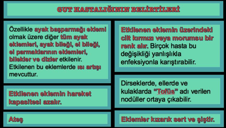 Tuğçe Karakılıç-20