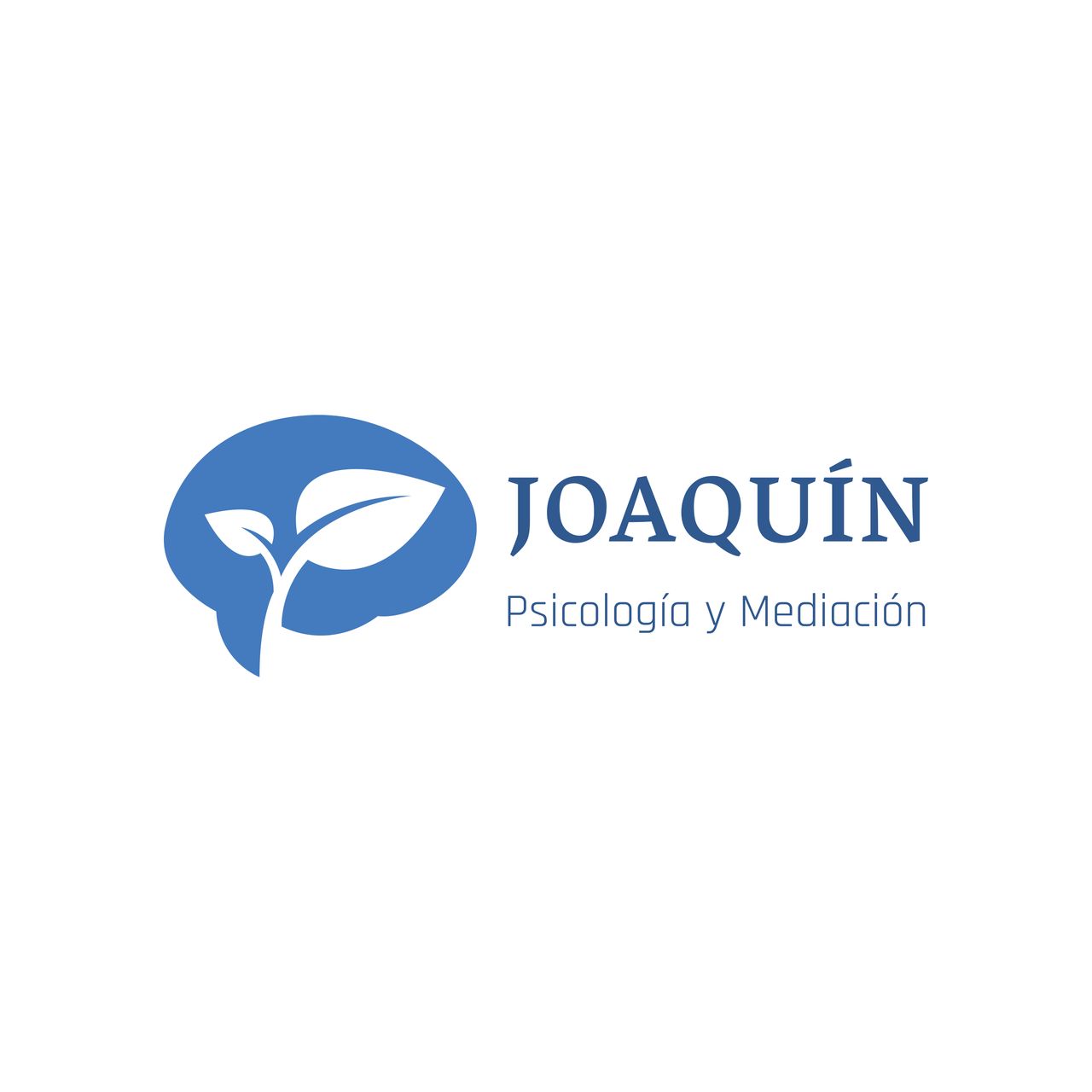 Joaquín Ruiz Estrada-4