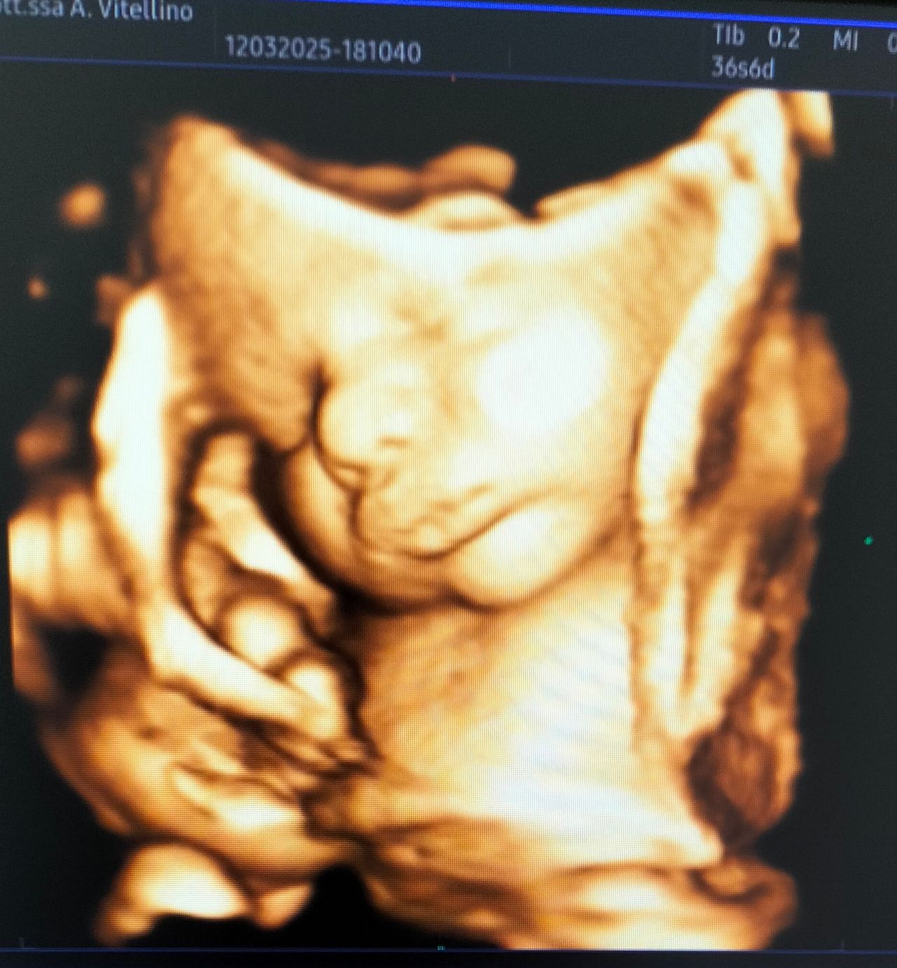 Andreina Vitellino-8