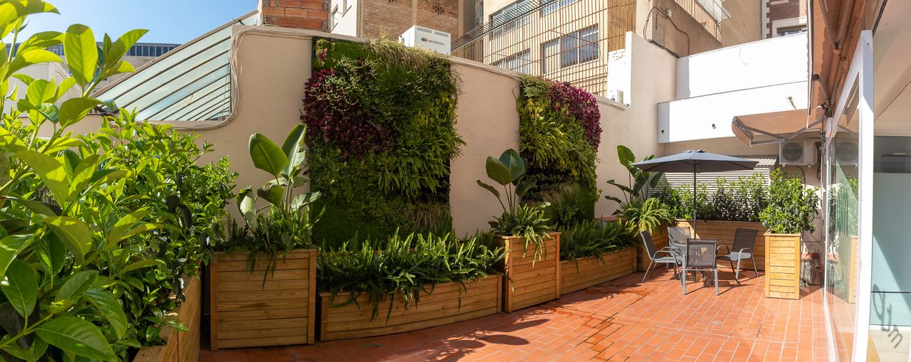 Jordi Soriano Ortin-6