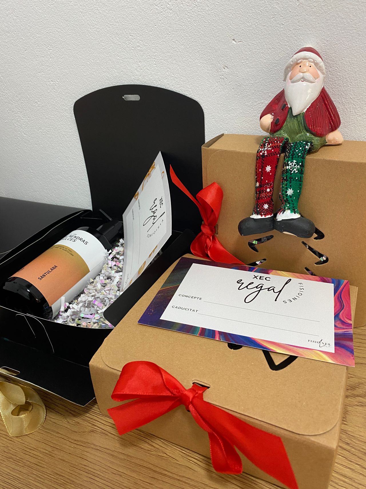 Inés Llasat Miró-0