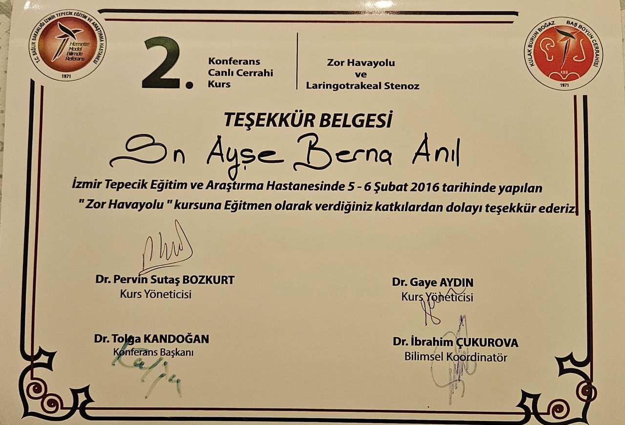 Ayşe Berna Anıl-30