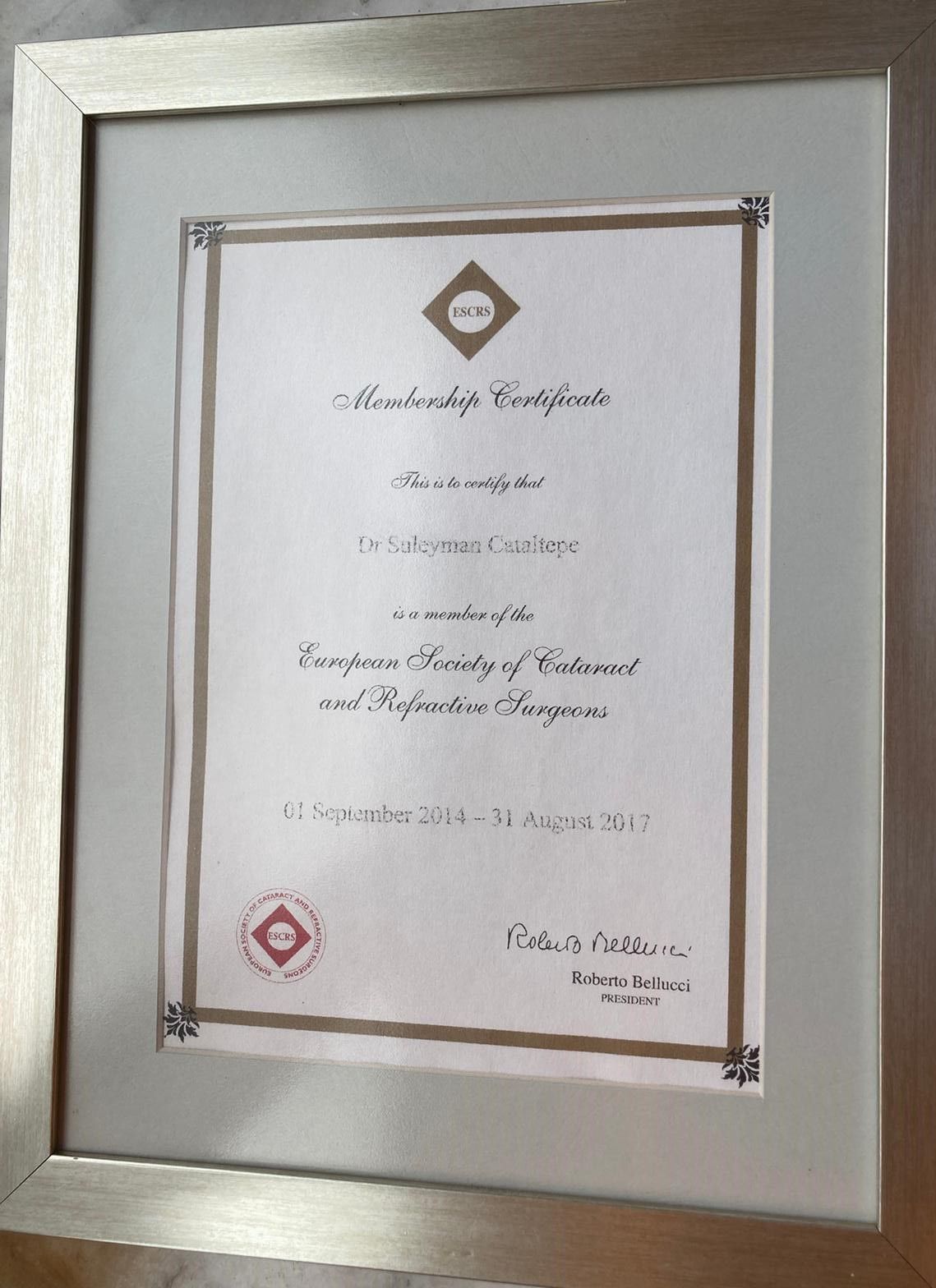 Süleyman Çataltepe-13