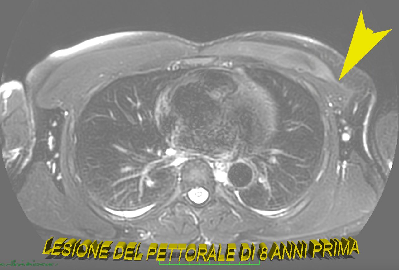 Davide Corrado Vaccarisi-14