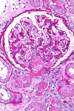 Sergio Paolo Sotgia-0