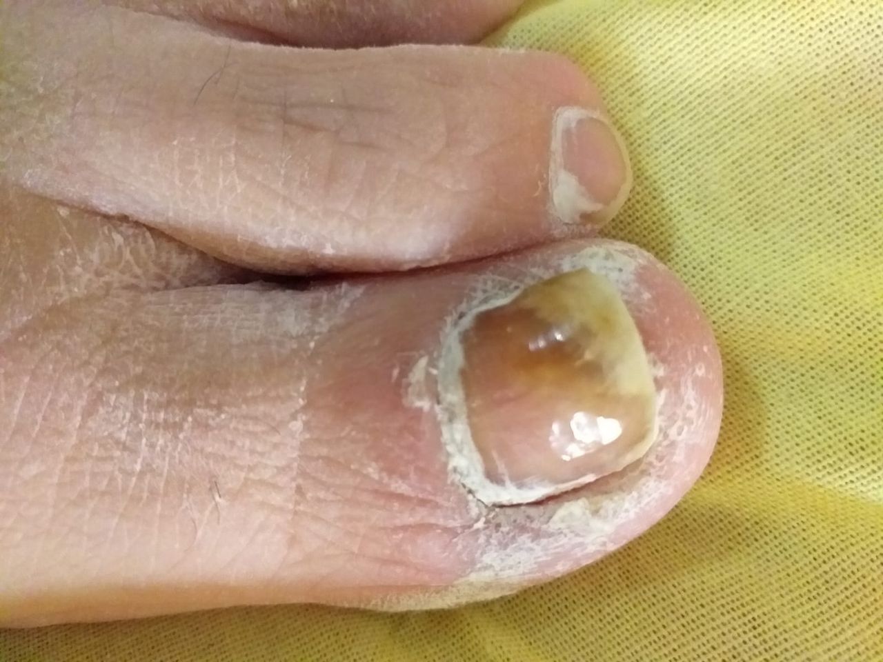 Kassandra Nicolosi-161