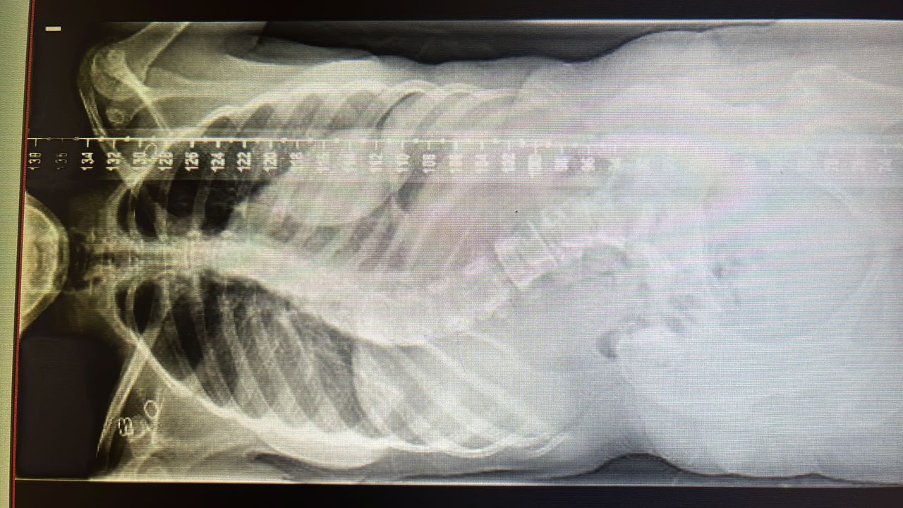 Federico Rodriguez De Tembleque Aguilar-3