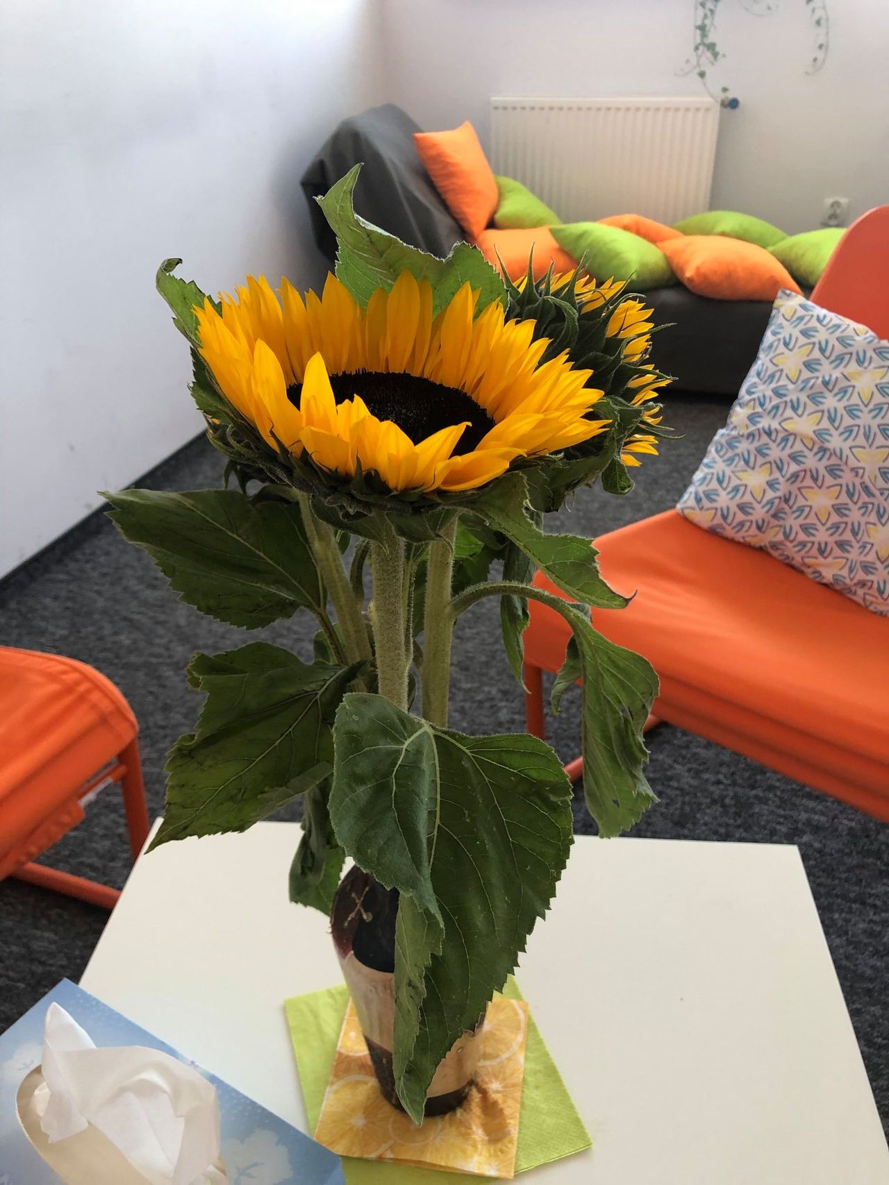 Katarzyna B. Głowacka-0