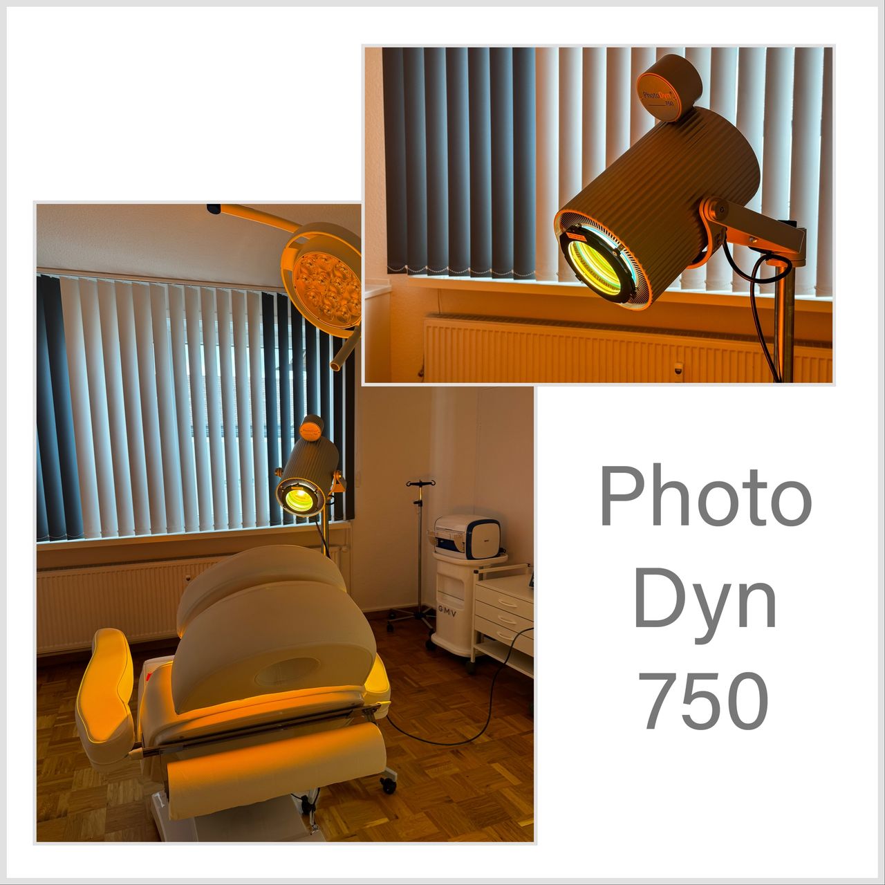 Angelika Leila Ernst-Plörer-8