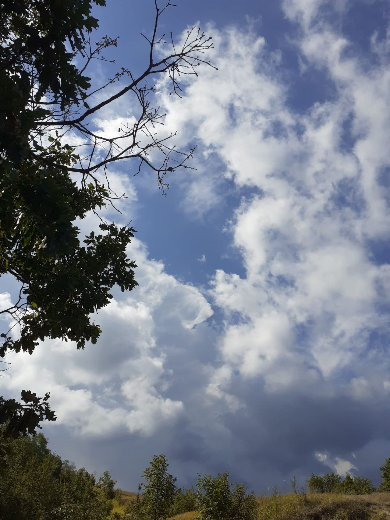 Bonaventura Luciano Manglaviti-9