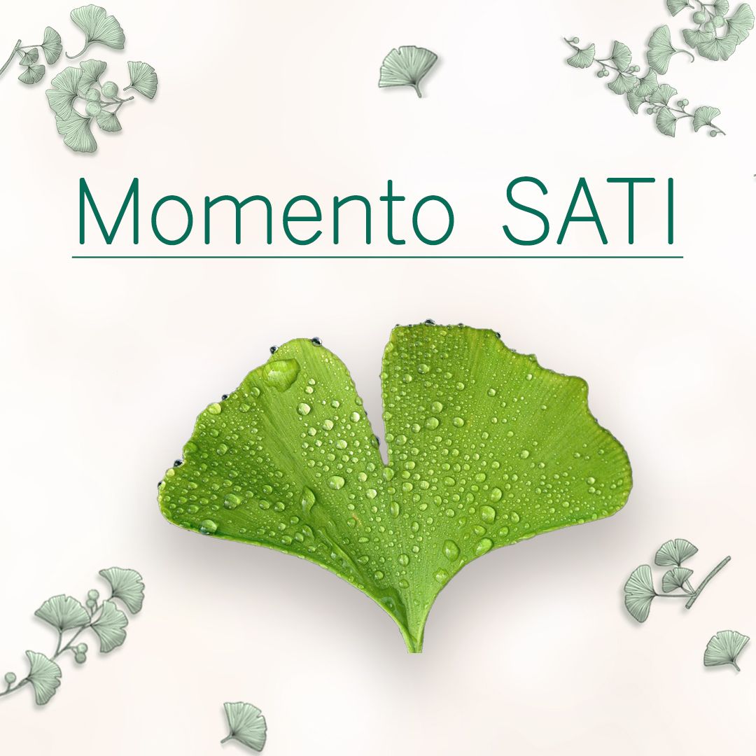 Sonia Clemente Cano-0