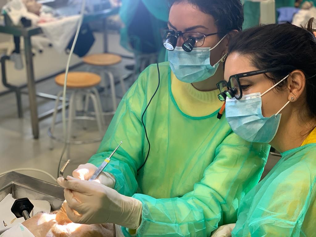 Celia Sánchez Gallego-Albertos-14