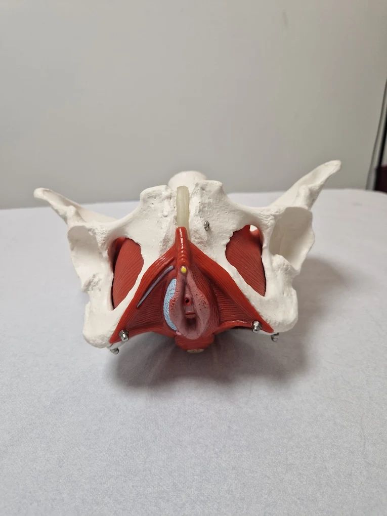 Cristina Azogue Domingo-4