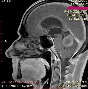 Jarosław Andrychowski-49