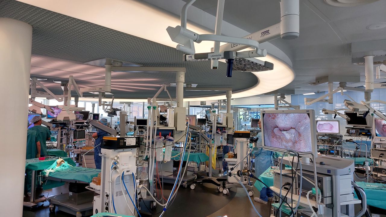 Filippo Montevecchi-9